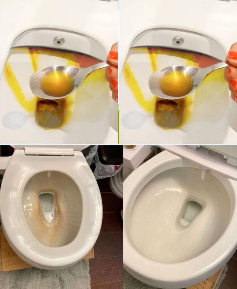 Como limpar uma sanita com apenas um ingrediente