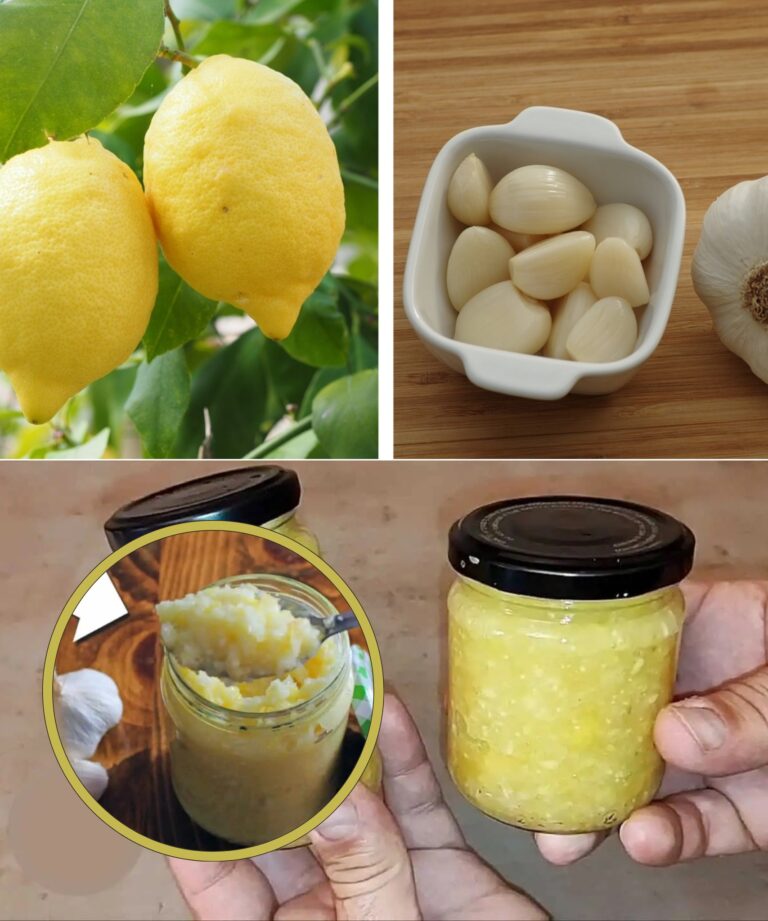 Mau colesterol como se nunca tivesse existido: um remédio natural para limpar os vasos sanguíneos!