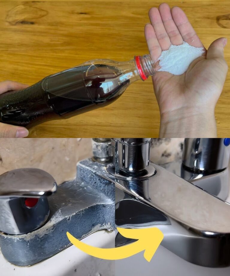 Juntando estes 2 ingredientes, o remédio caseiro que resolve muitos problemas