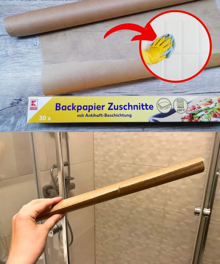 Deixo SEMPRE papel vegetal na casa de banho: quando souber o motivo, também saberá!