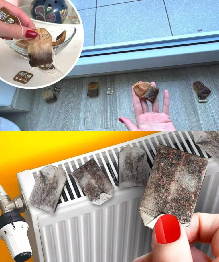 Coloque o TOTO diretamente no cesto e os toalhetes ficarão como novos: um método comprovado para branquear todos os toalhetes!