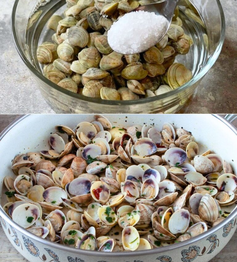 Como limpar amêijoas: o guia com imagens para as purgar e remover a areia