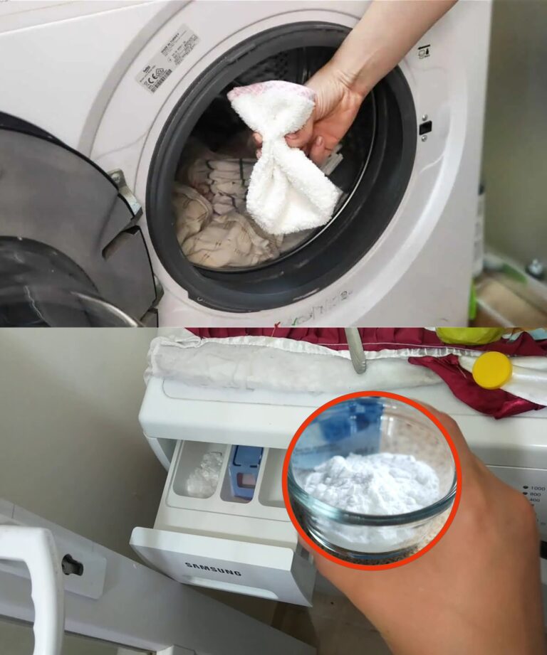 Coloque o TOTO diretamente no cesto e os toalhetes ficarão como novos: um método comprovado para branquear todos os toalhetes!