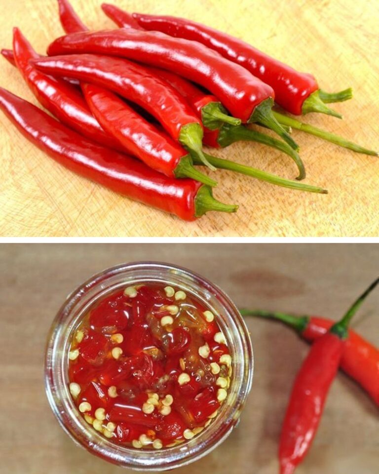 🌶️🍯 Molho de Pimenta Agridoce: Picante e Irresistível