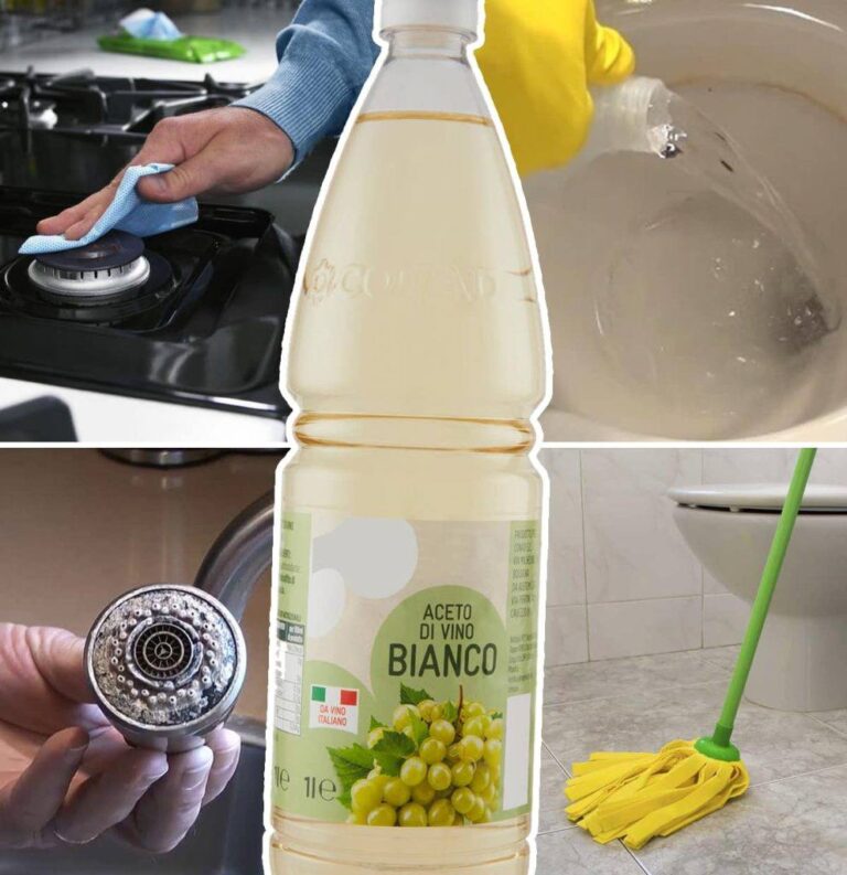 9 utilizações incríveis do vinagre de álcool branco que não conhecia