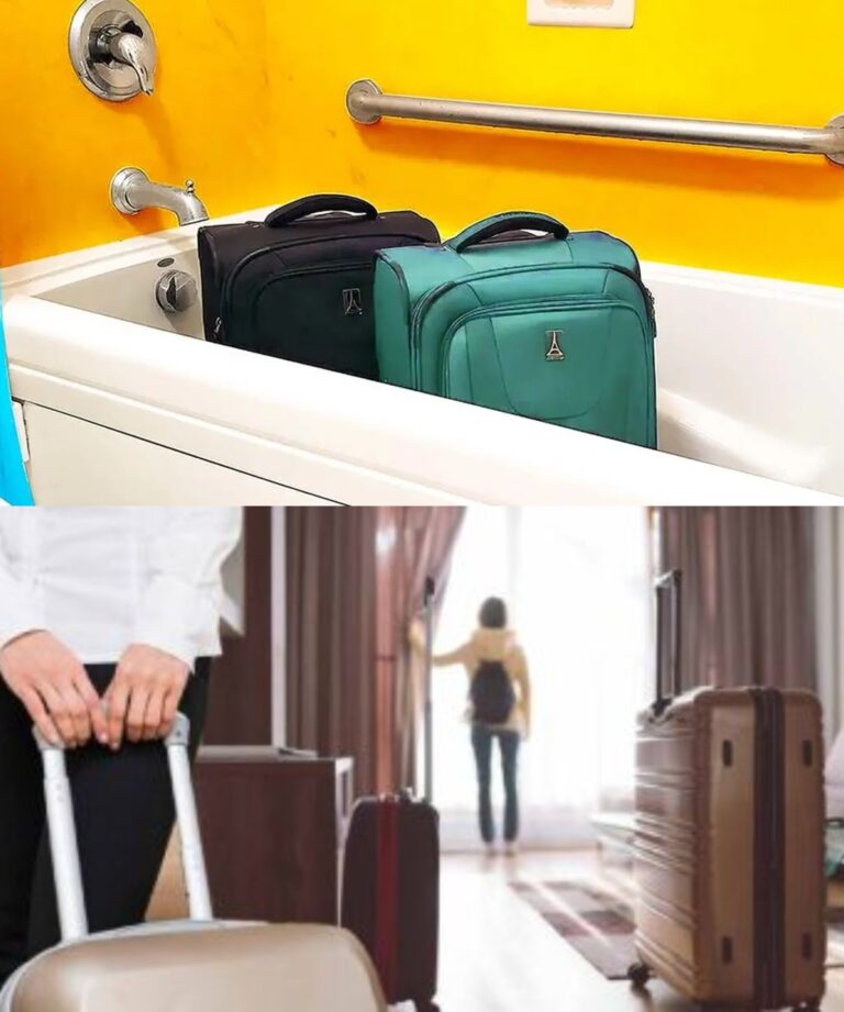 Ao fazer o check-in num quarto de hotel, deixe as malas na casa de banho.