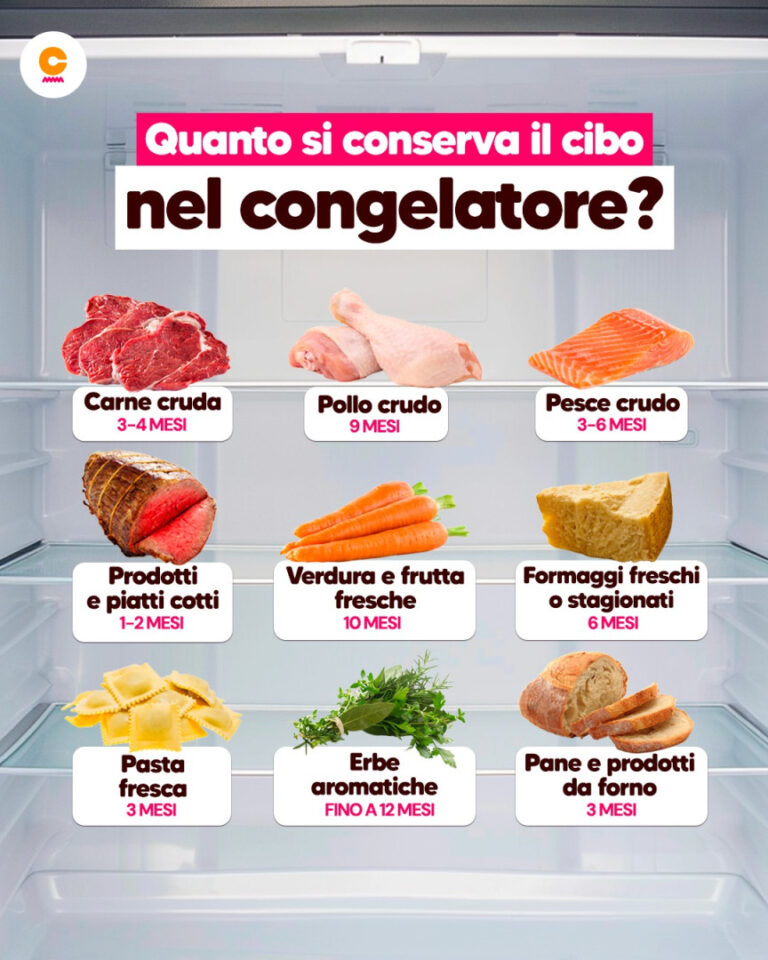 Quanto tempo duram os alimentos no congelador: tempos de congelação e dicas